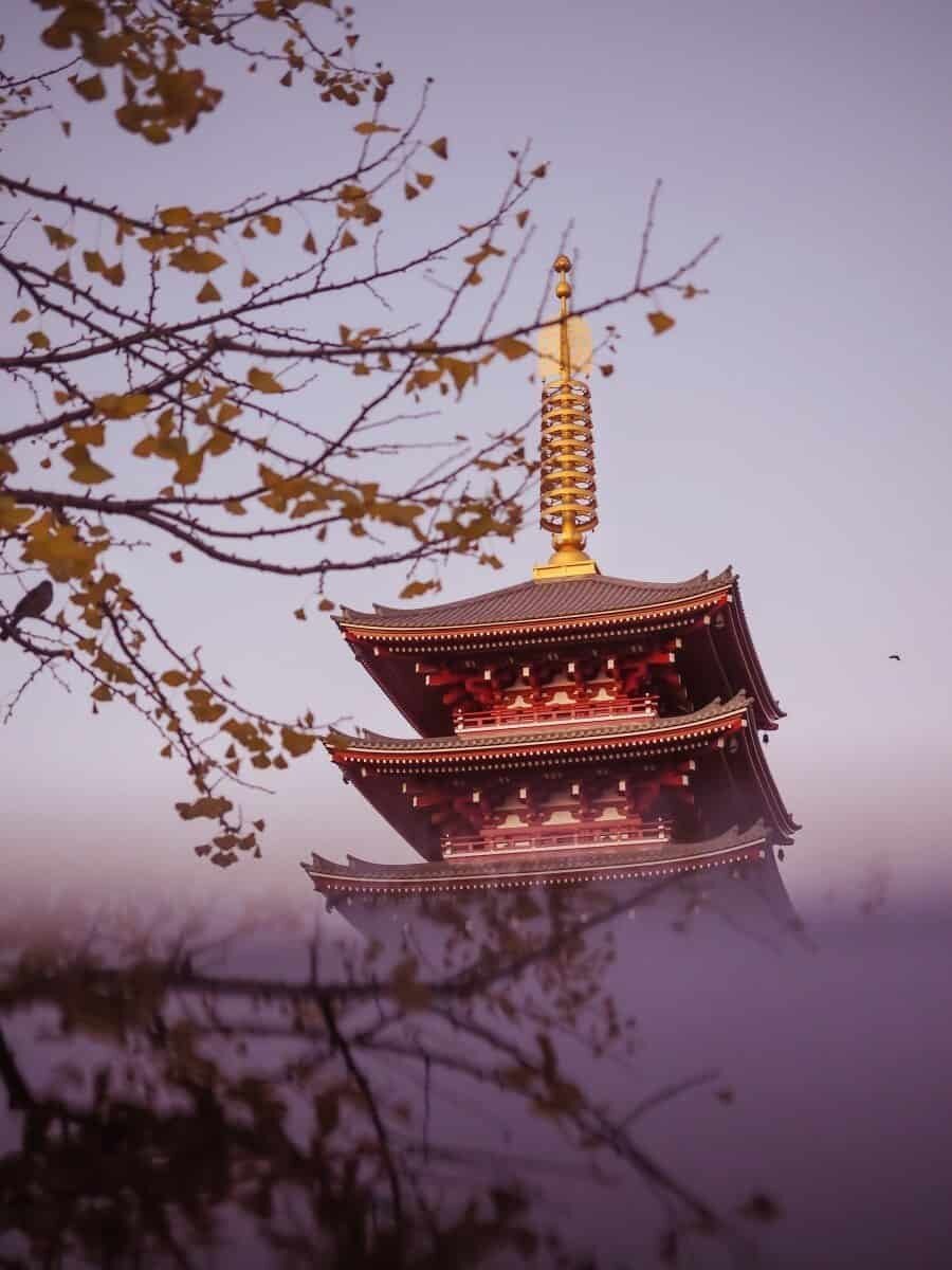 ⛩️ 아사쿠라 신사 이미지 7